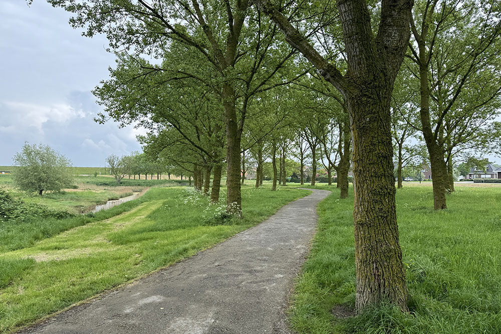 Park