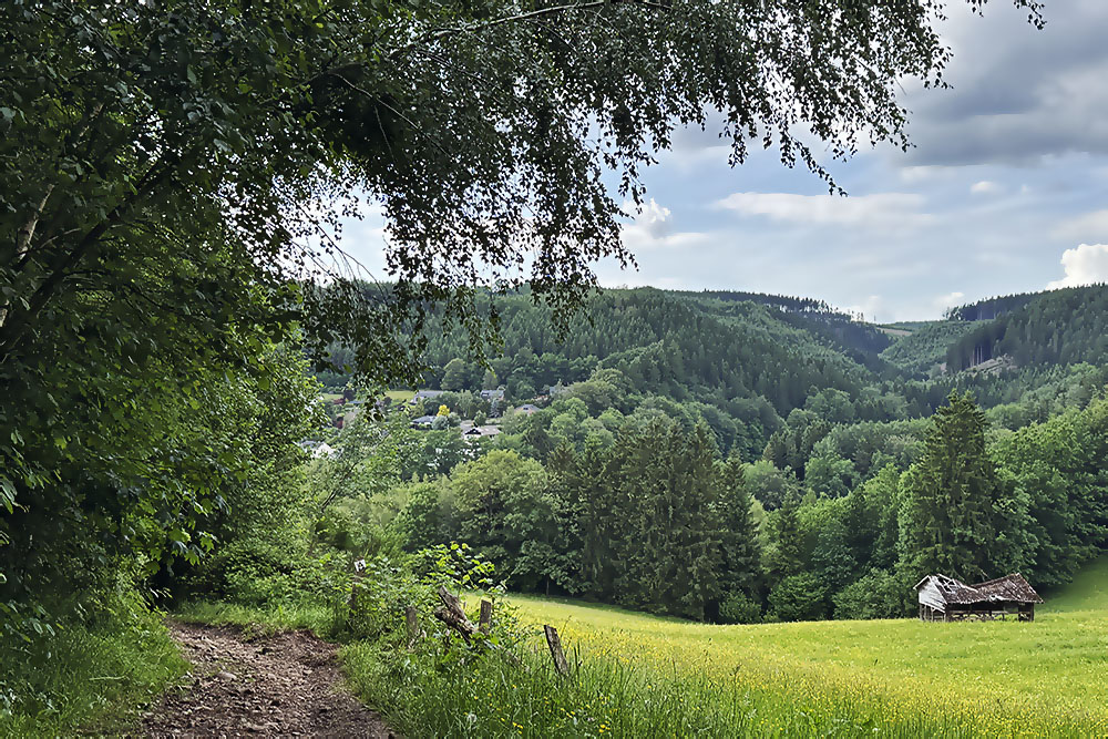 Typisch Ardens landschap
