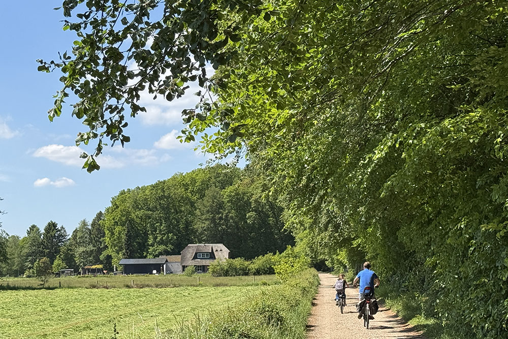 Fietsers op de Veluwe