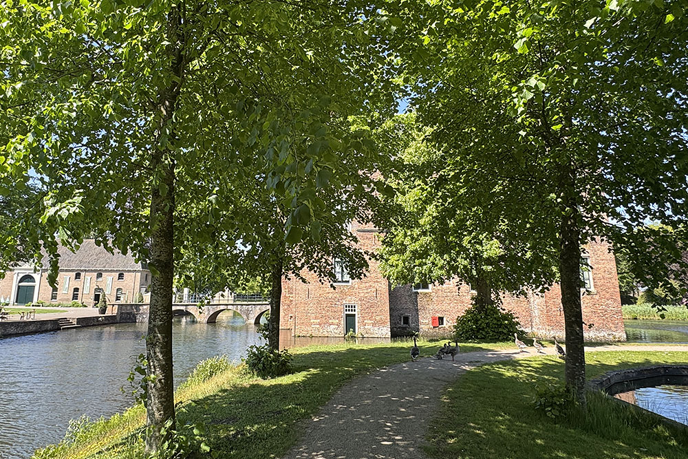 Ganzen die het pad versperren bij kasteel Cannenburch