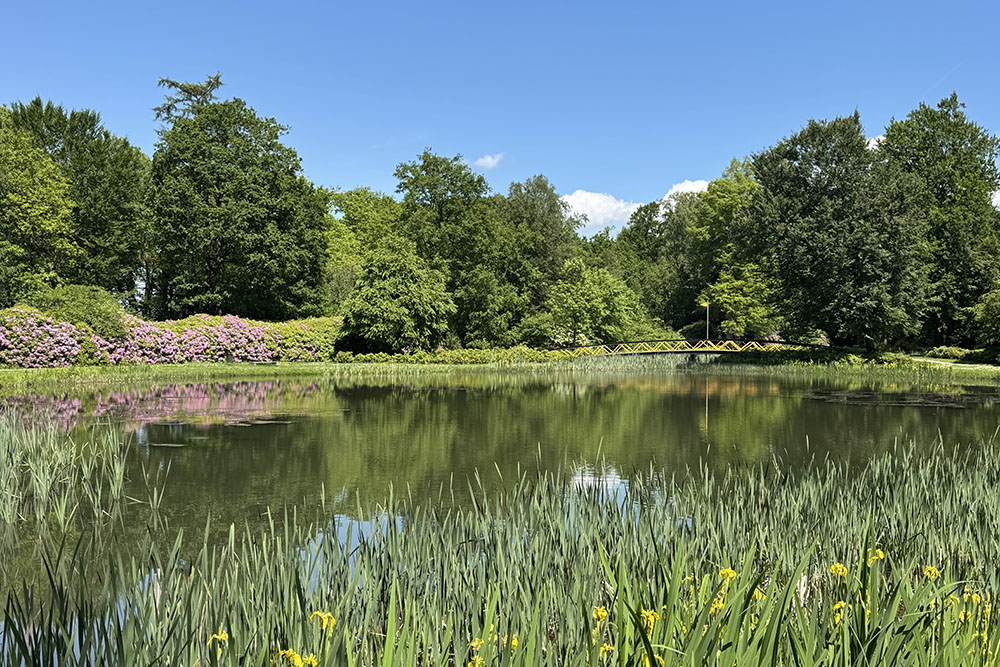Park van kasteel Cannenburch