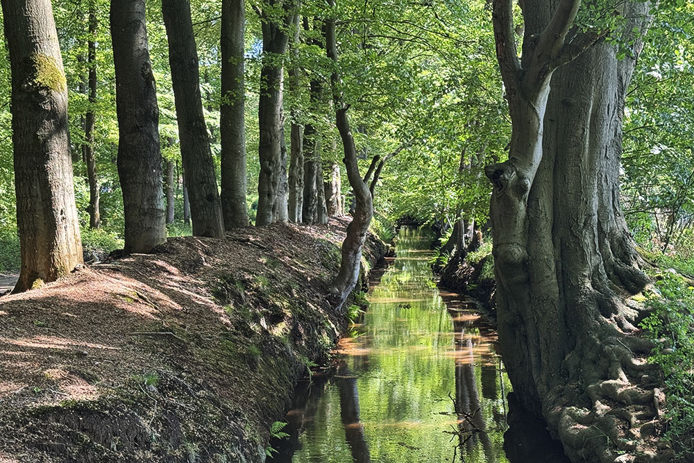 Spreng op de Veluwe