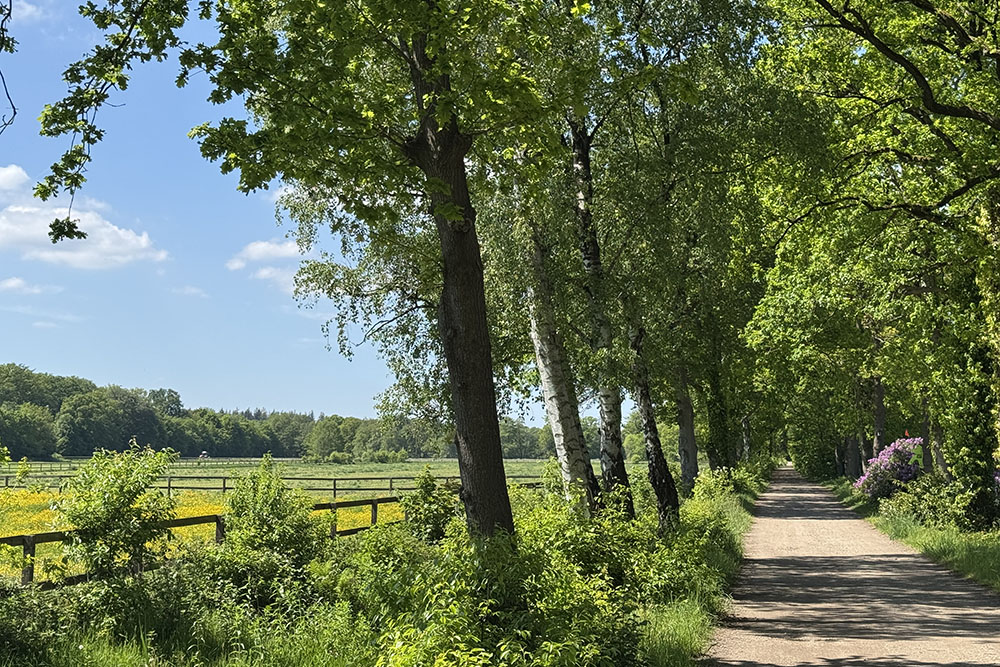 Zandweg vlakbij het landgoed van kasteel Cannenburch