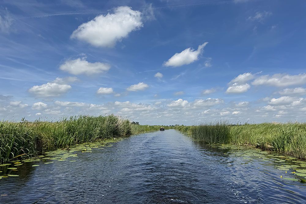 Varen tussen het riet en langs waterlelies