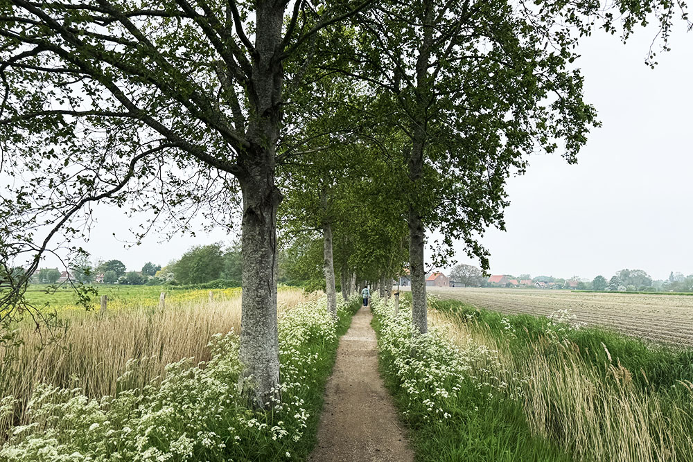 Pad richting Brigdamme bij Middelburg