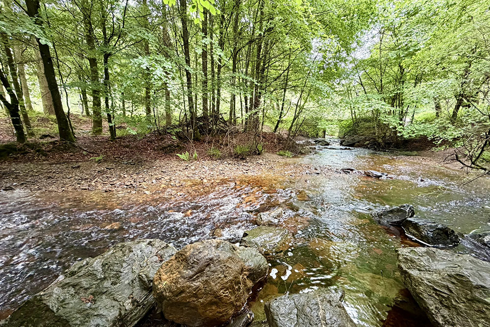 Wat bredere beek dan de Eau Rouge