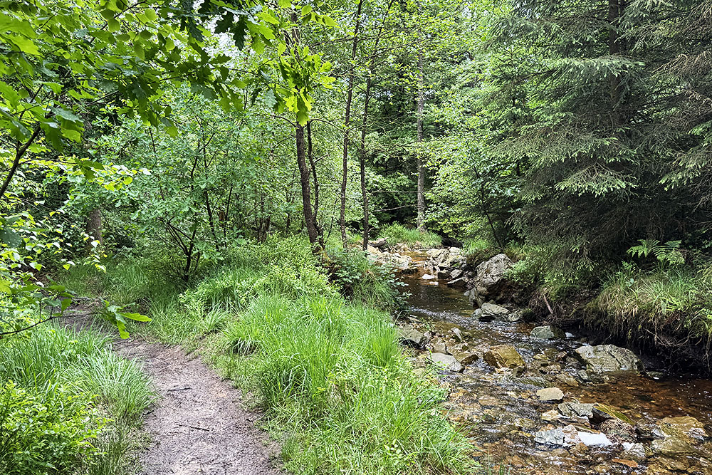 Eau Rouge in de Hoge Venen