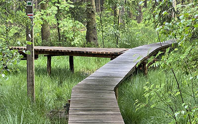 Wandeling door de Hoge Venen in de Oostkantons