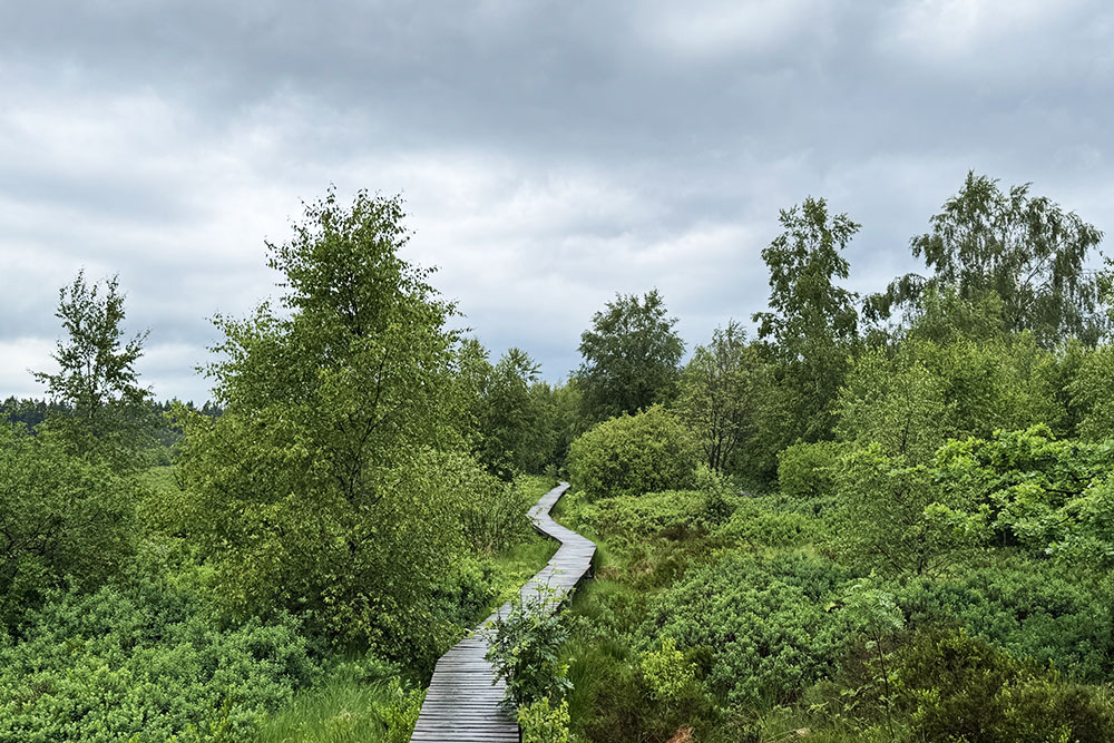 Vlonderpad met dreigend weer