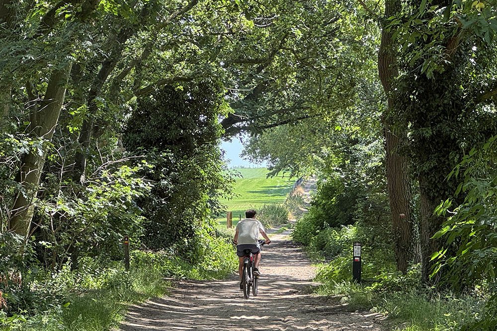 Fietser op weg naar de Sint-Jansberg bij Groesbeek