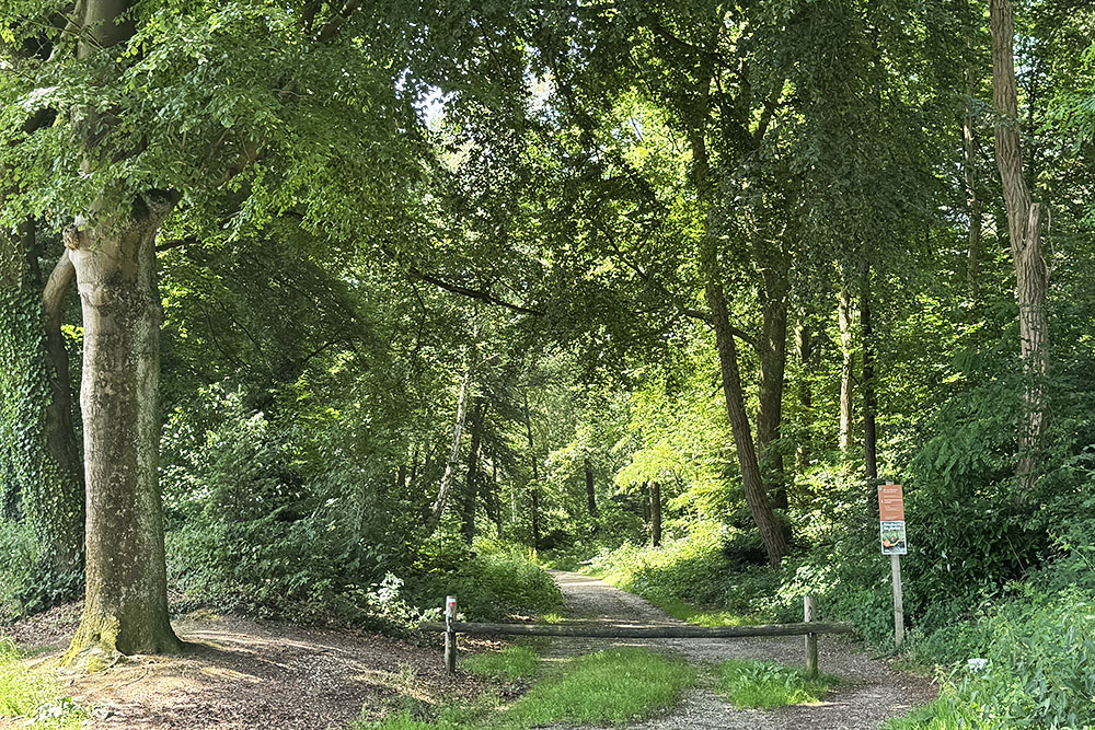 Entree van het Groesbeekse Bos