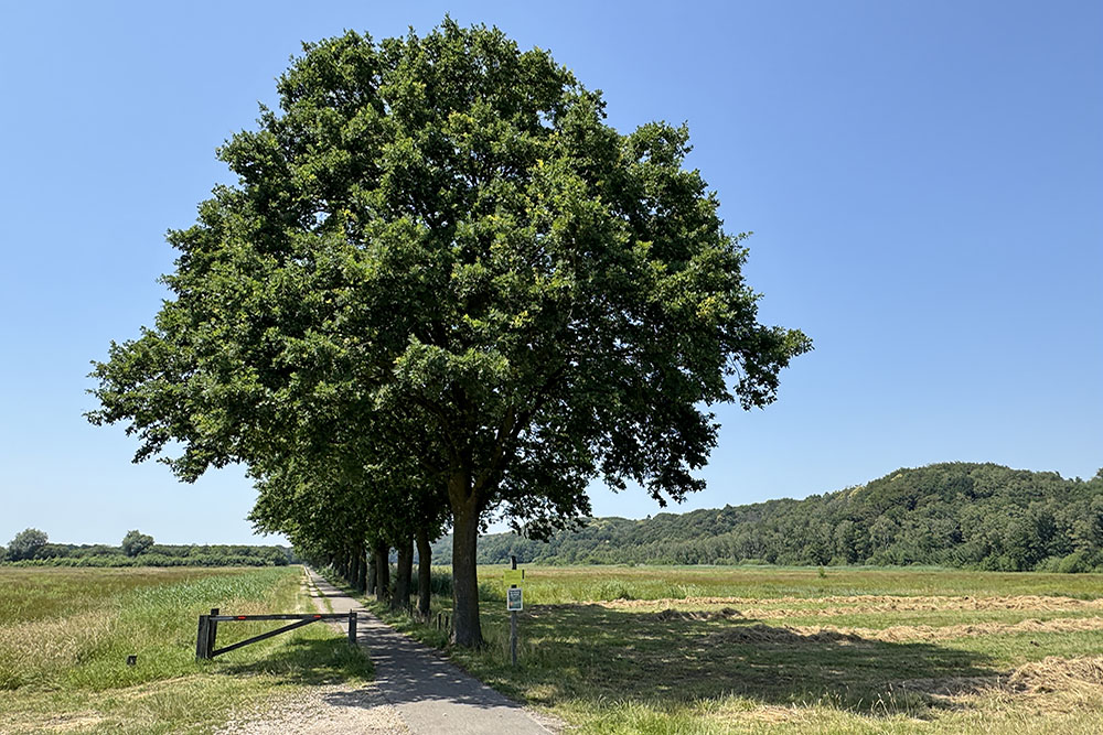 De Diepen aan de voet van de Sint-Jansberg
