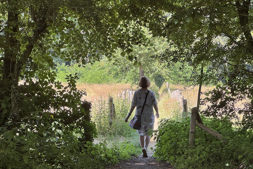 Wandelaar in het Groesbeekse Bos vlakbij Klein Amerika
