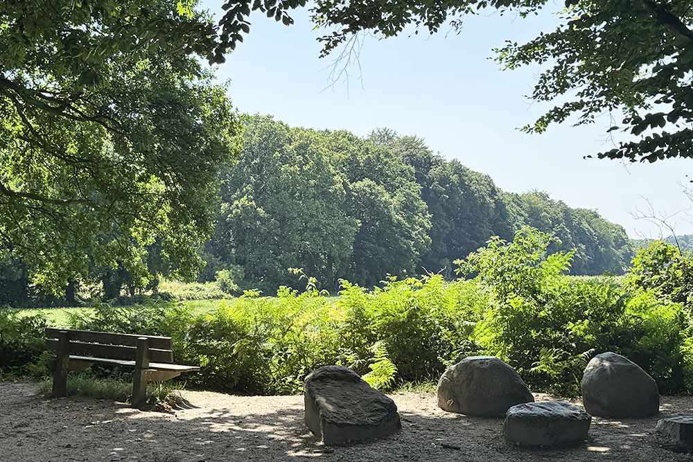 Zwerfkeien bij de Sint-Jansberg