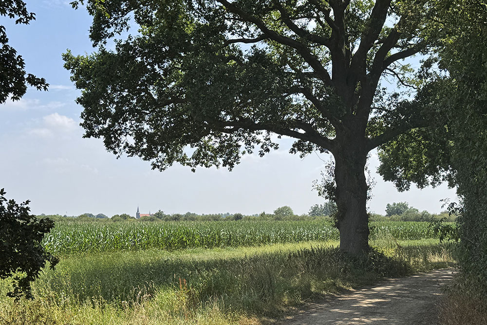 Vlakbij Vierlingsbeek
