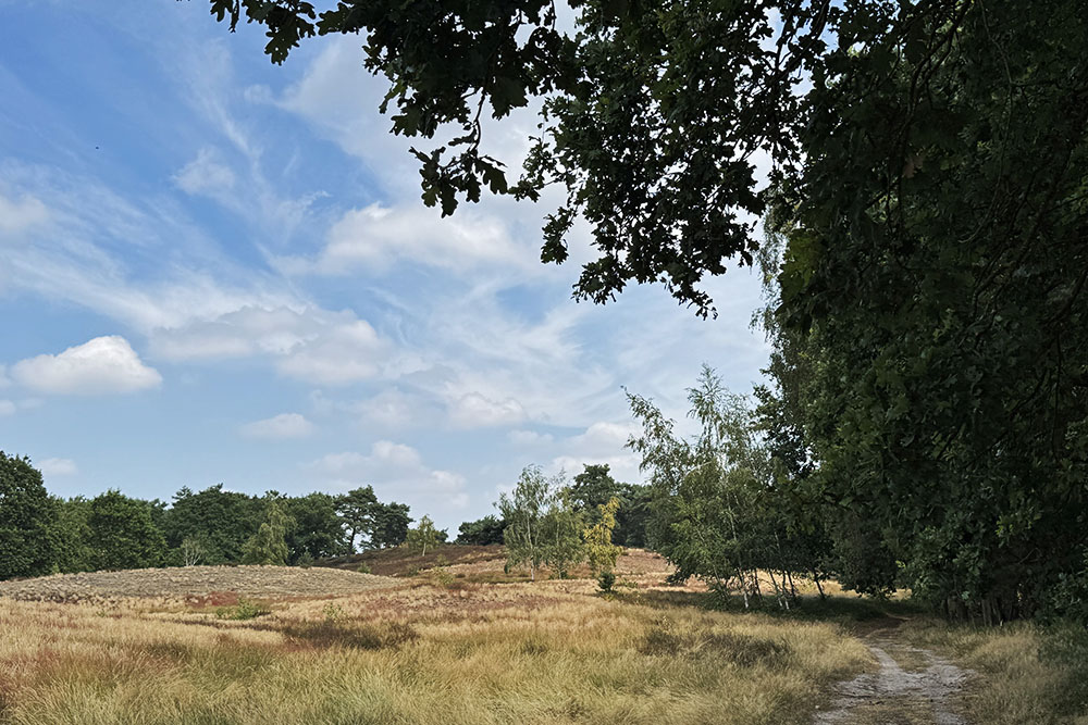 De Maasduinen weer verlaten