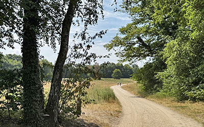 Etappe 19 van het Pieterpad – van Gennep naar Vierlingsbeek