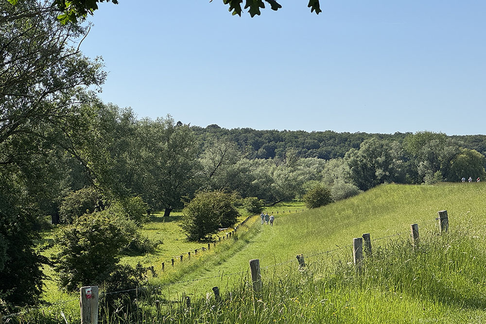 Blauwe Kamerbij Wageningen